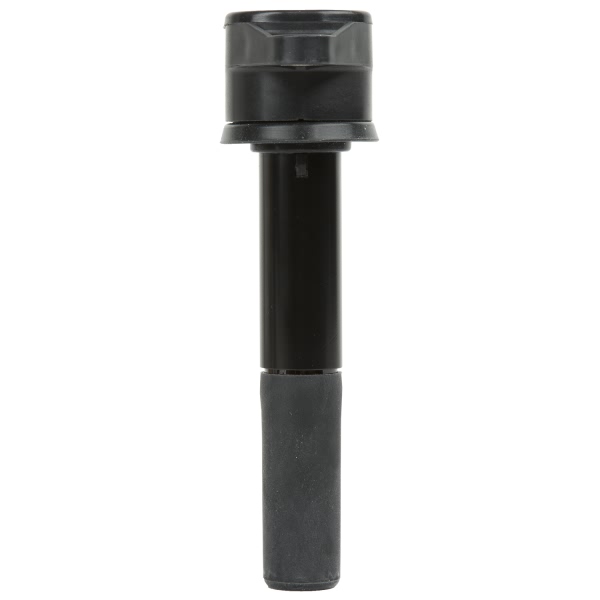 Delphi Ignition Coil GN10358