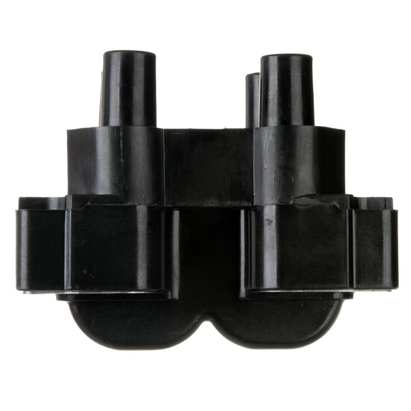 Delphi Ignition Coil GN10295