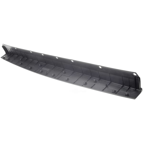 Dorman OE Solutions Passenger Side Tailgate Molding 925-624