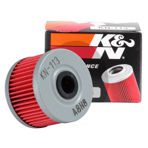 K&N Oil Filter KN-113