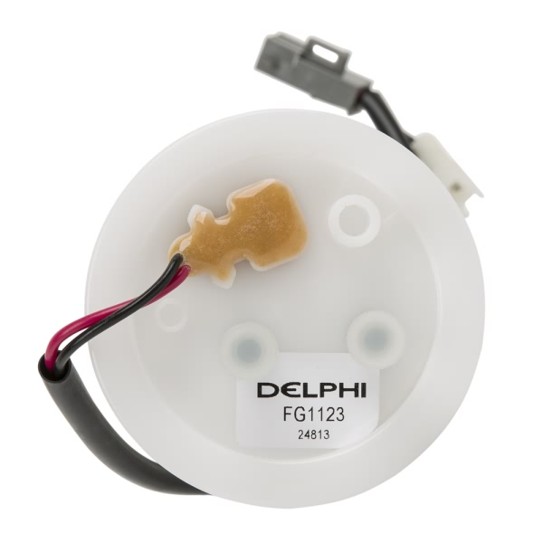 Delphi Fuel Pump Module Assembly FG1123