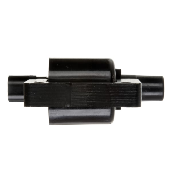 Delphi Ignition Coil GN10290