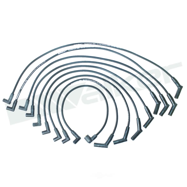 Walker Products Spark Plug Wire Set 924-1397