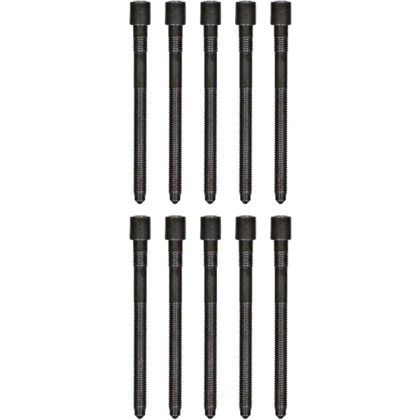 Victor Reinz Cylinder Head Bolt Set 14-32124-01