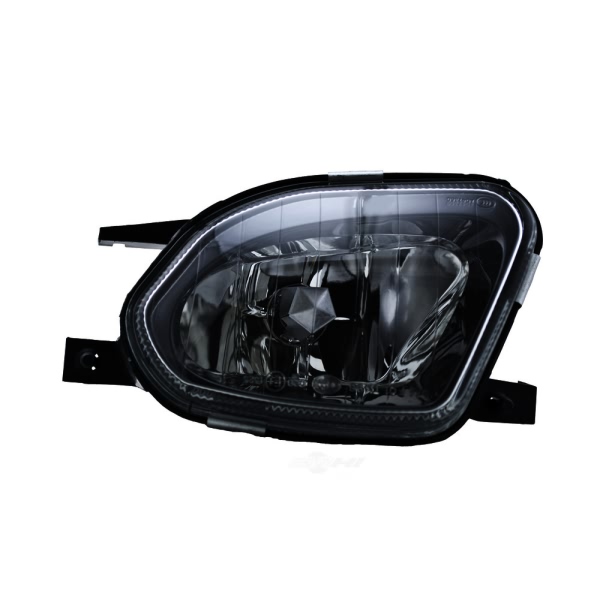 Hella Driver Side Replacement Fog Light 008275071