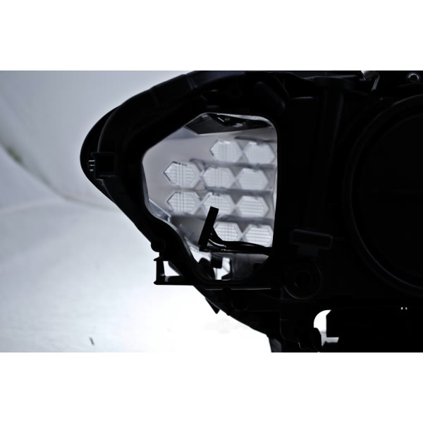 Hella Headlamp - Driver Side Xen 010131651