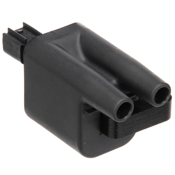 Delphi Ignition Coil GN10396