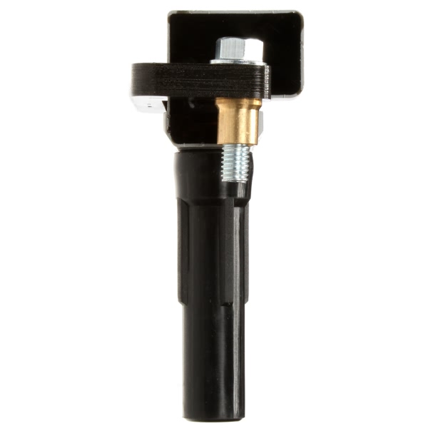 Delphi Ignition Coil GN10434