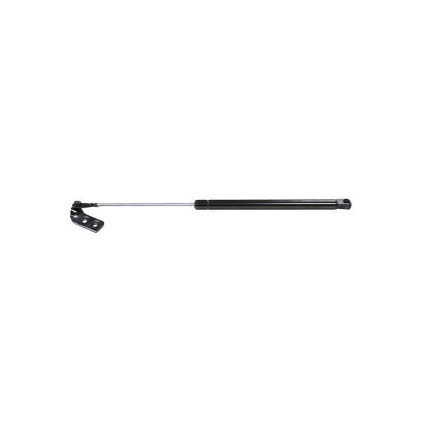 StrongArm Passenger Side Liftgate Lift Support 4858