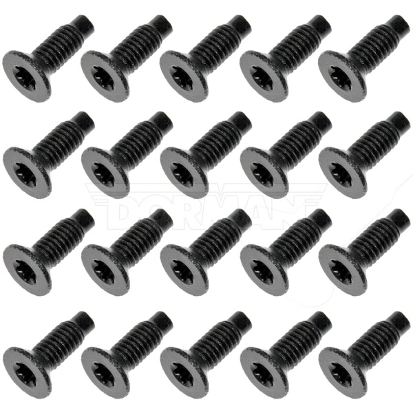 Dorman OE Solutions Door Hinge Screws 926-888