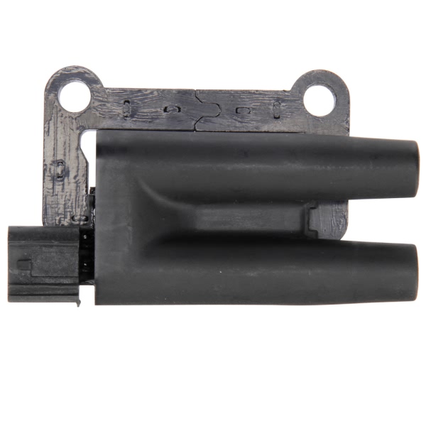 Delphi Ignition Coil GN10396