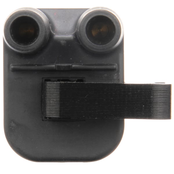 Delphi Ignition Coil GN10396