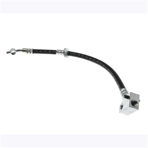 Centric Rear Driver Side Brake Hose for Acura Legend - 150.40321