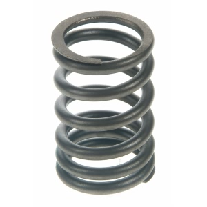 Sealed Power Engine Valve Spring for Nissan Pickup - VS-941