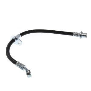 Centric Rear Driver Side Brake Hose for 1998 Honda Prelude - 150.40334