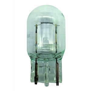 Hella 7440Ll Long Life Series Incandescent Miniature Light Bulb for 2005 Suzuki Grand Vitara - 7440LL