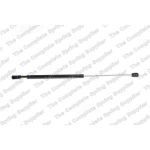 lesjofors Back Glass Lift Support for 2006 Land Rover Range Rover Sport - 8175725