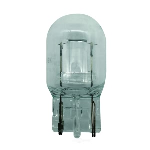 Hella 7440 Standard Series Incandescent Miniature Light Bulb for 2014 Ram ProMaster 3500 - 7440
