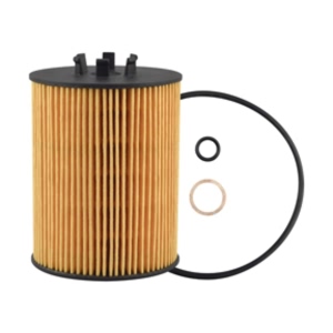 Hastings Engine Oil Filter Element for 2005 BMW 745Li - LF595