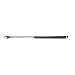 StrongArm Liftgate Lift Support for 1987 Dodge Charger - 4400