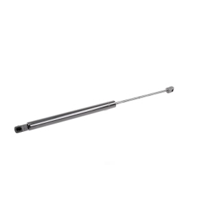 VAICO Liftgate Lift Support for 2007 Audi Q7 - V10-1966