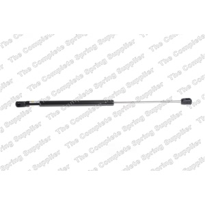 lesjofors Liftgate Lift Support for Mercedes-Benz E400 - 8156825