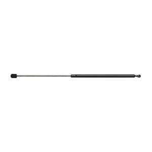 StrongArm Back Glass Lift Support for 1999 Chevrolet Blazer - 4799