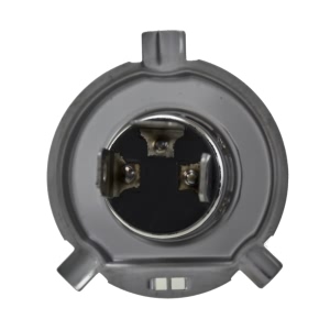 Hella H4 Design Series Halogen Light Bulb for Smart - H71070682