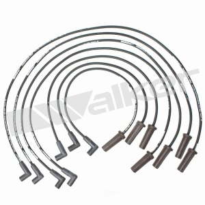 Walker Products Spark Plug Wire Set for 1985 Buick Century - 924-1334