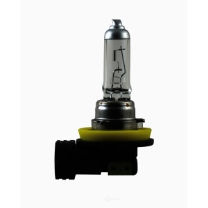 Hella H11P50Tb Performance Series Halogen Light Bulb for 2012 Nissan Armada - H11P50TB