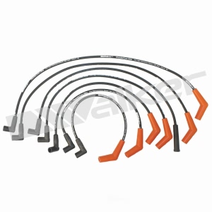 Walker Products Spark Plug Wire Set for 1989 Merkur Scorpio - 924-1299