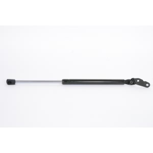 StrongArm Driver Side Liftgate Lift Support for 2001 Toyota Celica - 6191L