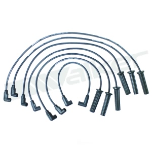 Walker Products Spark Plug Wire Set for 1991 Isuzu Rodeo - 924-1514