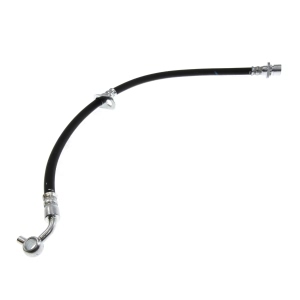 Centric Rear Brake Hose for Honda CR-V - 150.40371