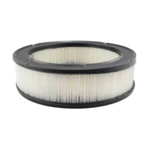 Hastings Air Filter for Plymouth Gran Fury - AF4