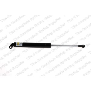 lesjofors Trunk Lid Lift Support for BMW - 8108414