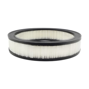 Hastings Air Filter for 1986 Chevrolet Monte Carlo - AF157