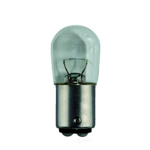 Hella 1004 Standard Series Incandescent Miniature Light Bulb for Plymouth Gran Fury - 1004