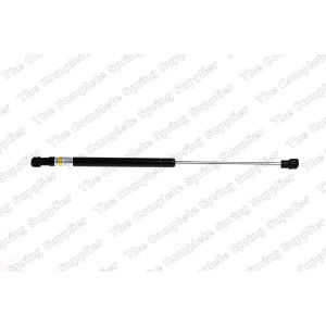 lesjofors Hood Lift Support for 2004 Land Rover Discovery - 8075701