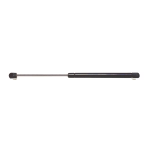 StrongArm Liftgate Lift Support for Buick - 4411