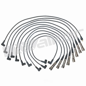 Walker Products Spark Plug Wire Set for 1984 Mercedes-Benz 380SE - 924-1383
