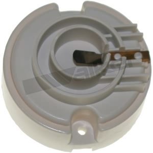 Walker Products Ignition Distributor Rotor - 926-1013