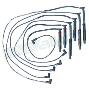 Walker Products Spark Plug Wire Set for 1995 Oldsmobile Cutlass Supreme - 924-1590
