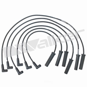 Walker Products Spark Plug Wire Set for Chevrolet Corsica - 924-1358
