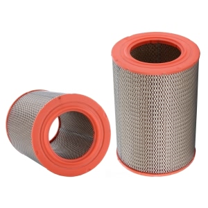 WIX Air Filter for Mercedes-Benz - 46290