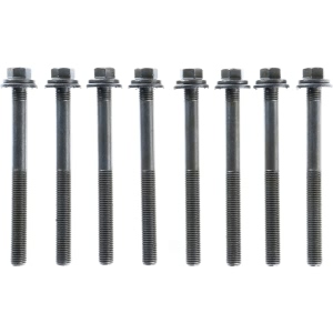 Victor Reinz Engine Cylinder Head Bolt Set for 2016 Chrysler Town & Country - 14-10129-01