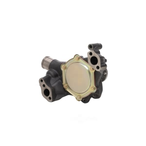 Dayco Engine Coolant Water Pump for Chevrolet P20 - DP10031