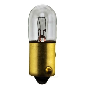 Hella 1891 Standard Series Incandescent Miniature Light Bulb for 1989 Dodge Lancer - 1891