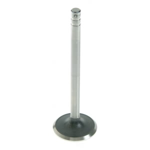 Sealed Power Engine Exhaust Valve - V-1823