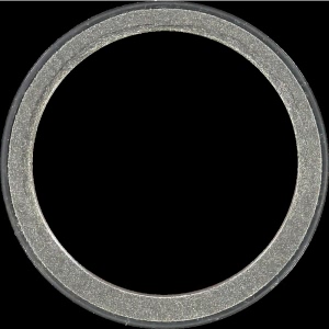 Victor Reinz Crankshaft Seal for Volkswagen Touareg - 81-36022-00